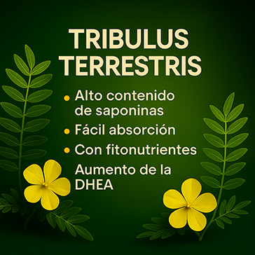 Tribulus